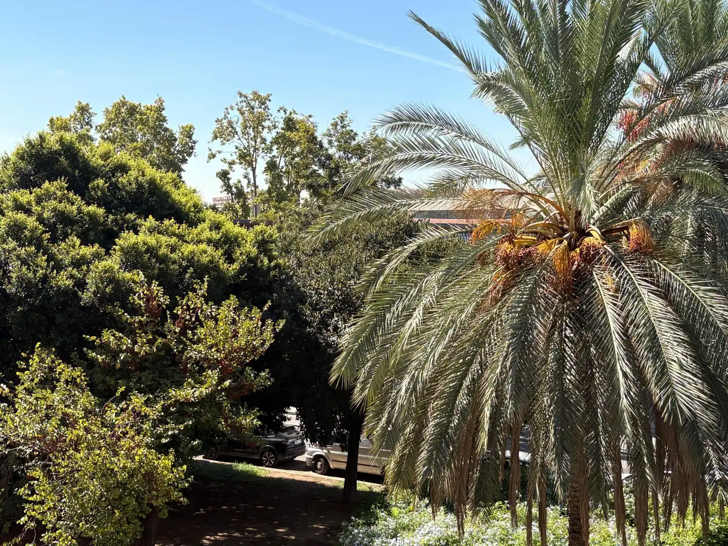 Garten von Wohnung zur Miete in Valencia mit Klimaanlage, Heizung und Möbliert