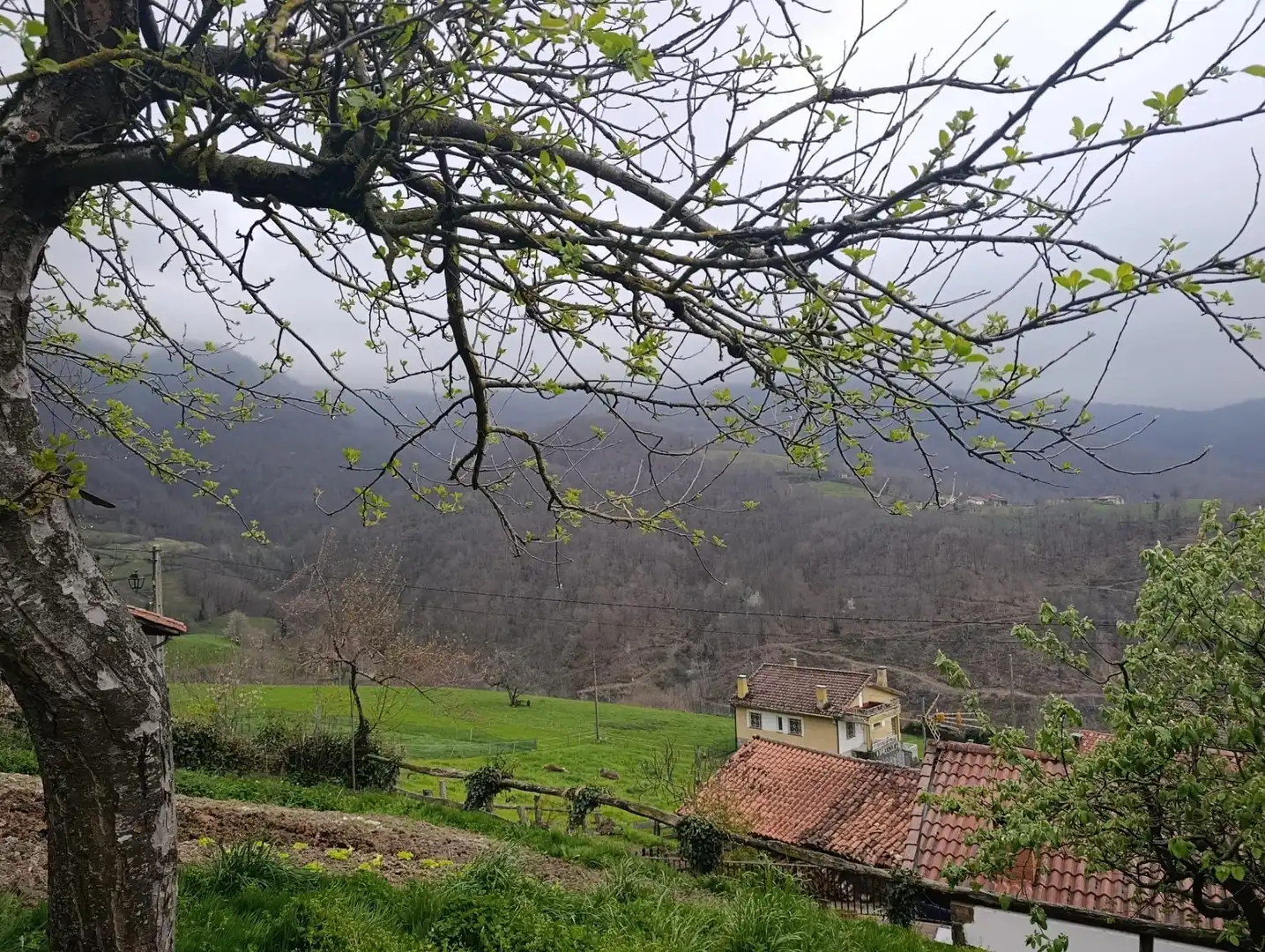 Jardín de Finca rústica en venta en Caso