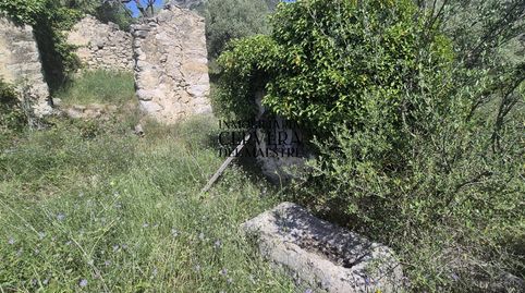 Foto 5 de Finca rústica en venda a Rossell, Castellón