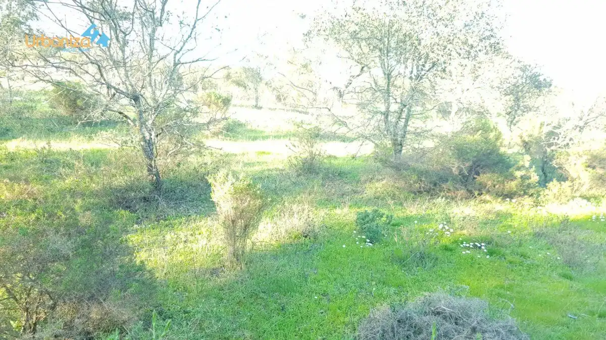 Terreni e lotti in vendita a Calle hortelano, imagen 12