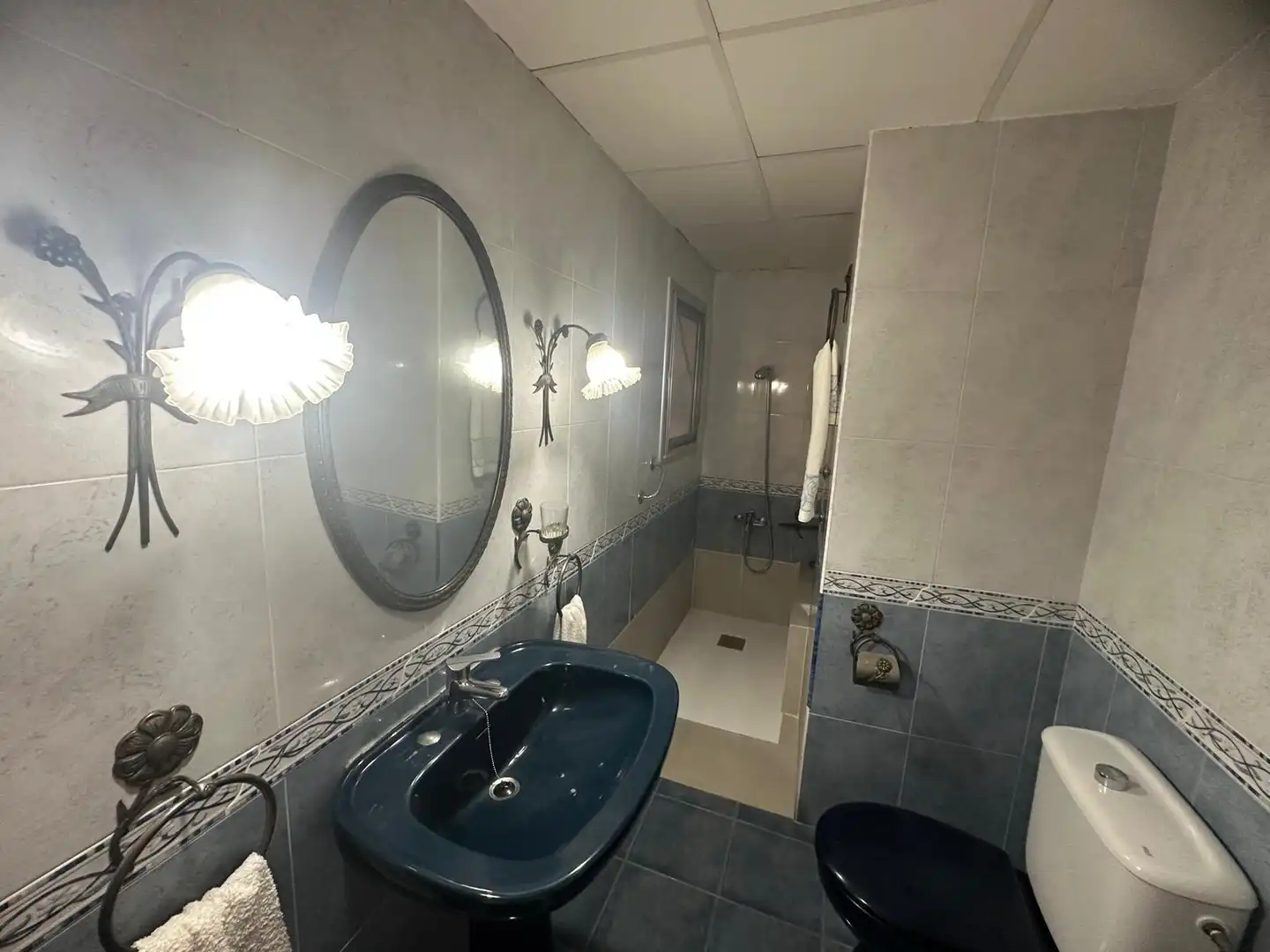 House with garden for sale in Santa Bàrbara, imagen 9
