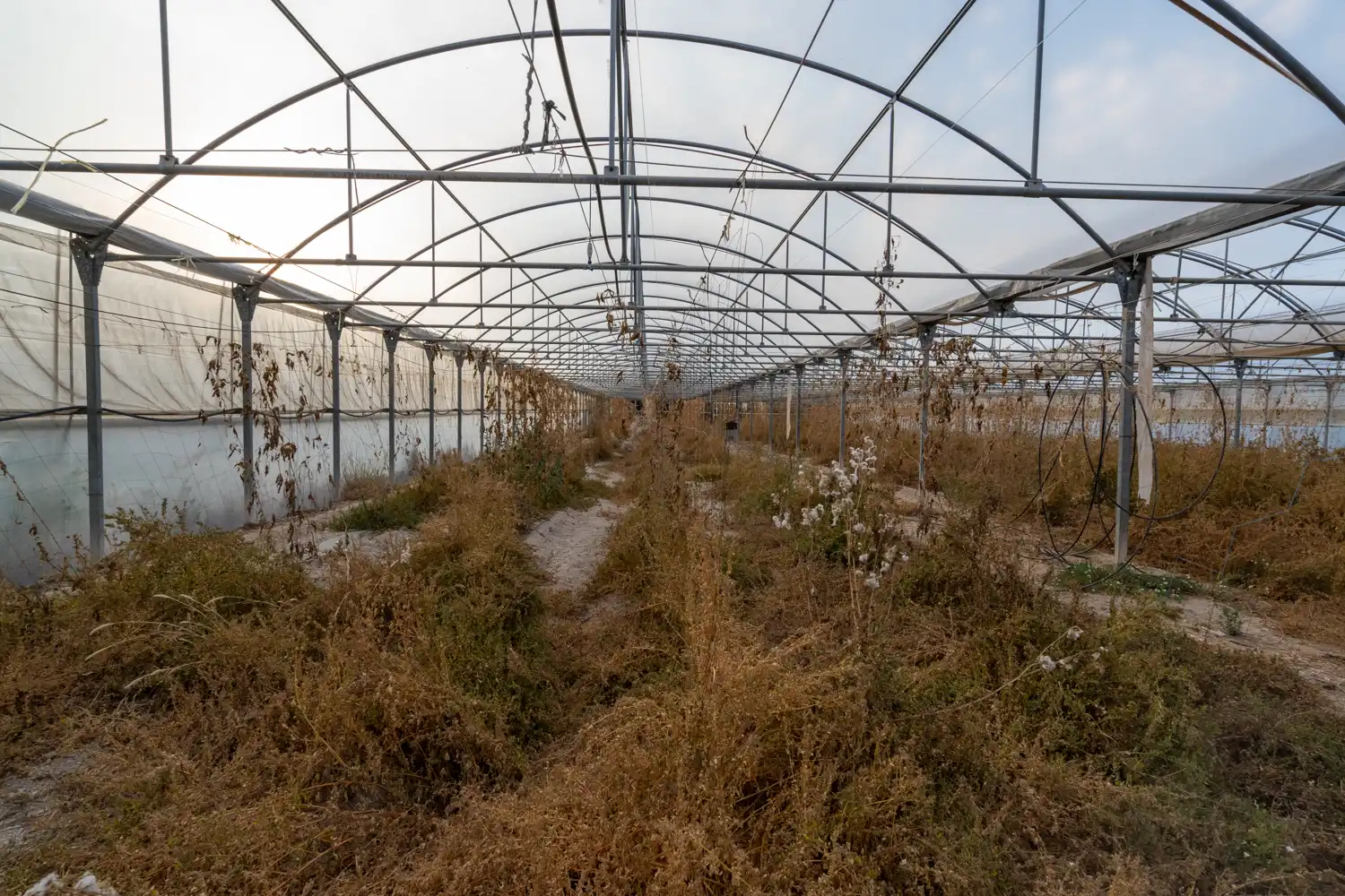 Exterior view of Land for sale in El Pinell de Brai