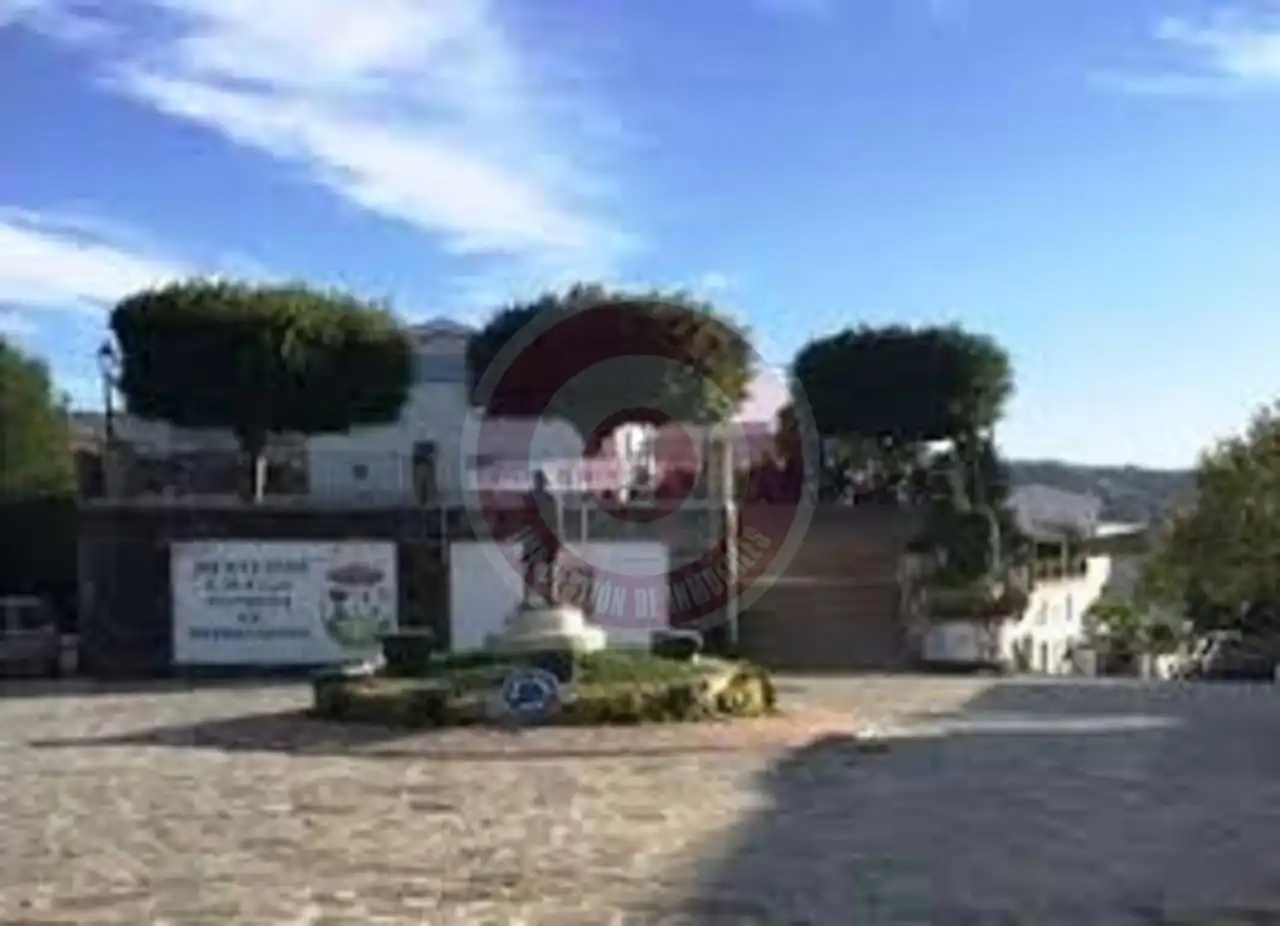 Vista exterior de Casa o chalet en venta en Macharaviaya con Jardín privado y Terraza