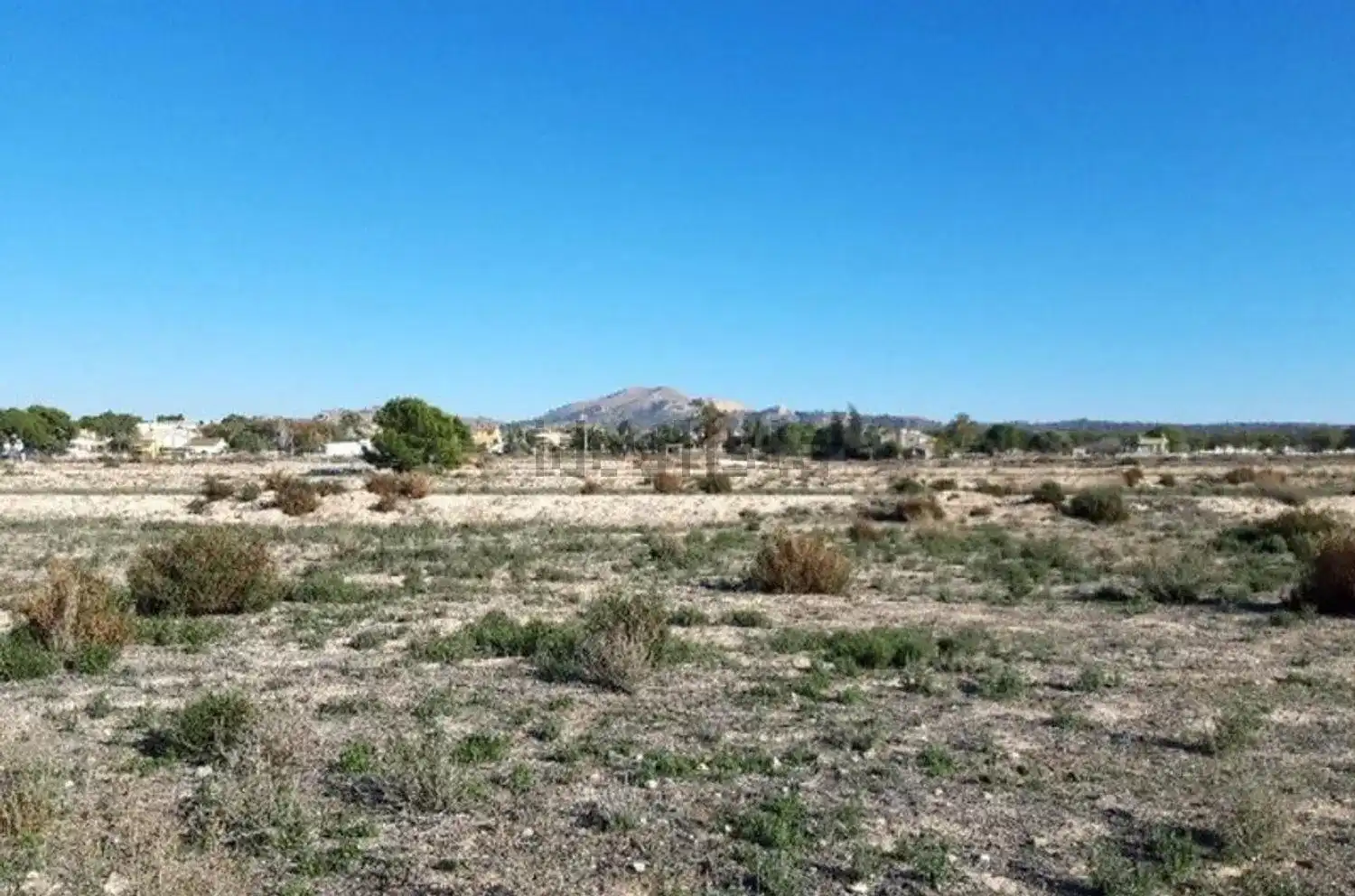 Terreno rústico en venta en Monforte del Cid, imagen 2