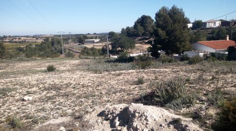 TERRENO RUSTICO SECANO TURIS VALLADO, immagine 4