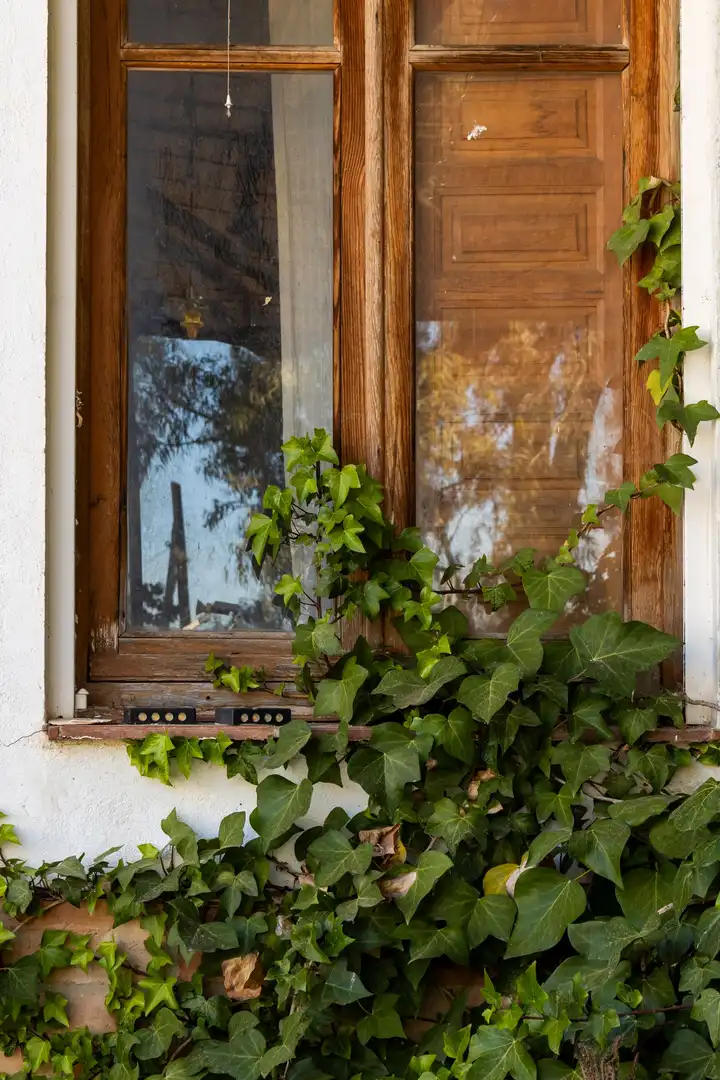 Casa in vendita a Este, imagen 11