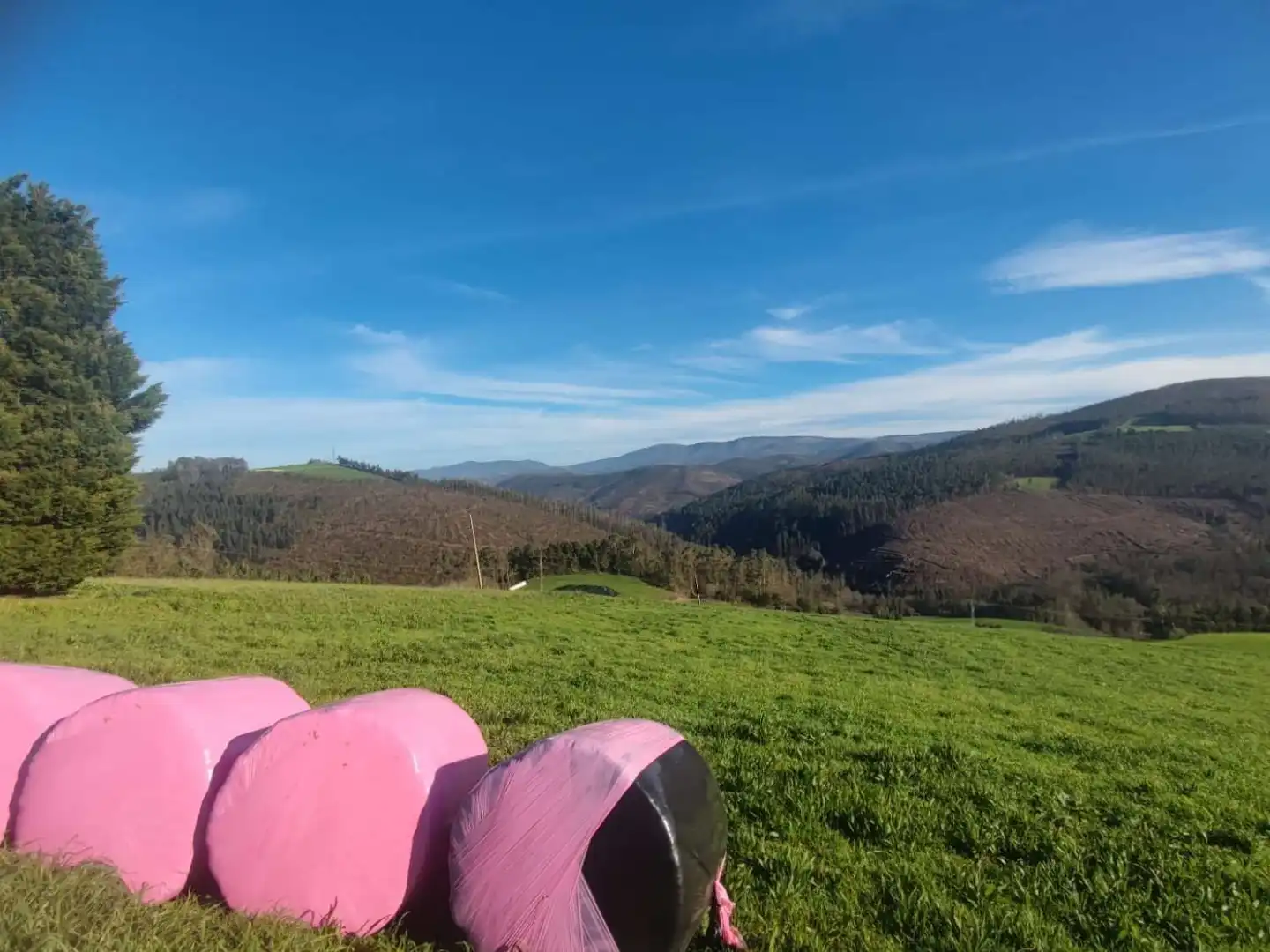 Wohnbaugrundstück zum Verkauf in REIRIZ