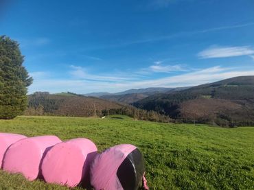 Terreno residenziale in vendita a REIRIZ