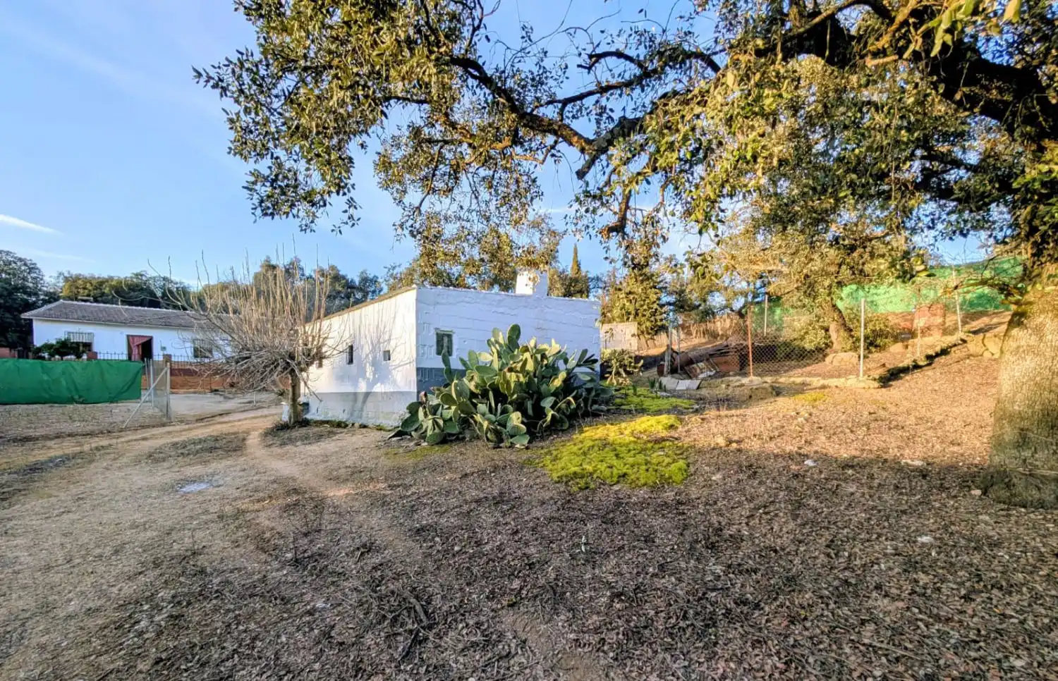 Vista exterior de Finca rústica en venda en Loja amb Terrassa