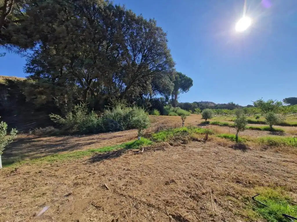 Terreno en venta en Binaced