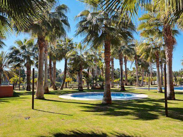 Piso en Alquiler en Calle Rector Federico Mayor Zaragoza, 9 en Playa de Granada