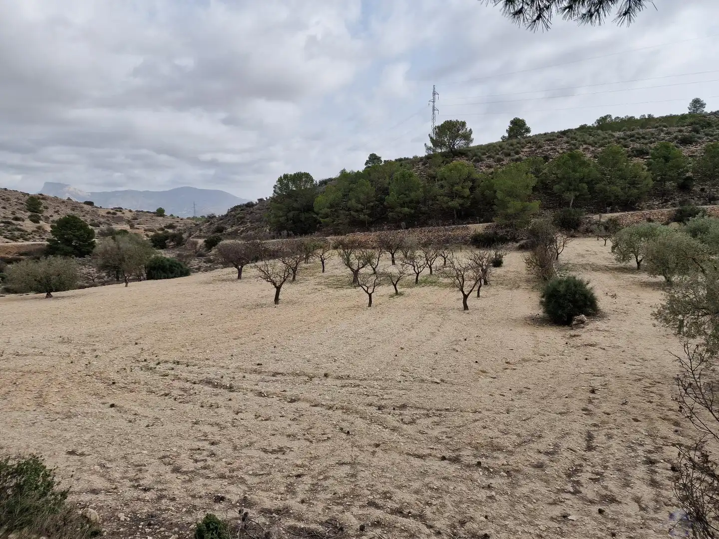 Villa in vendita a Monóvar  / Monòver, imagen 22