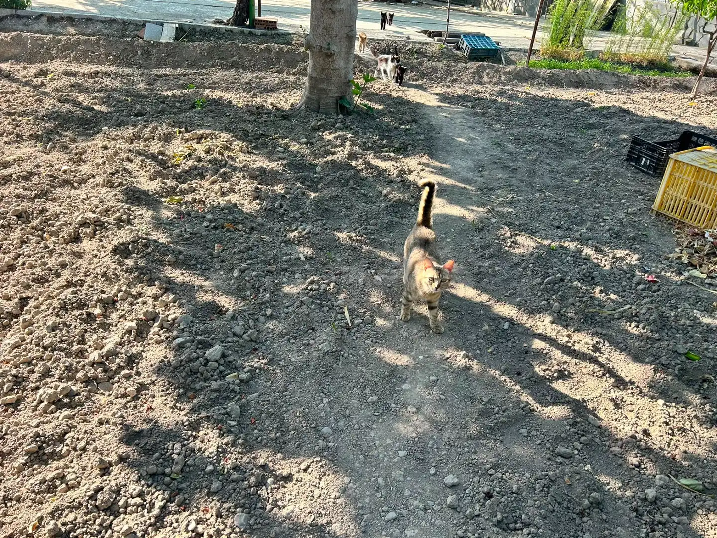 Terreni e lotti in vendita a Atarfe, imagen 5