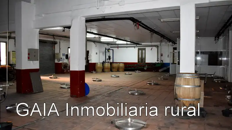 Adossat en venda a Maella, imagen 19