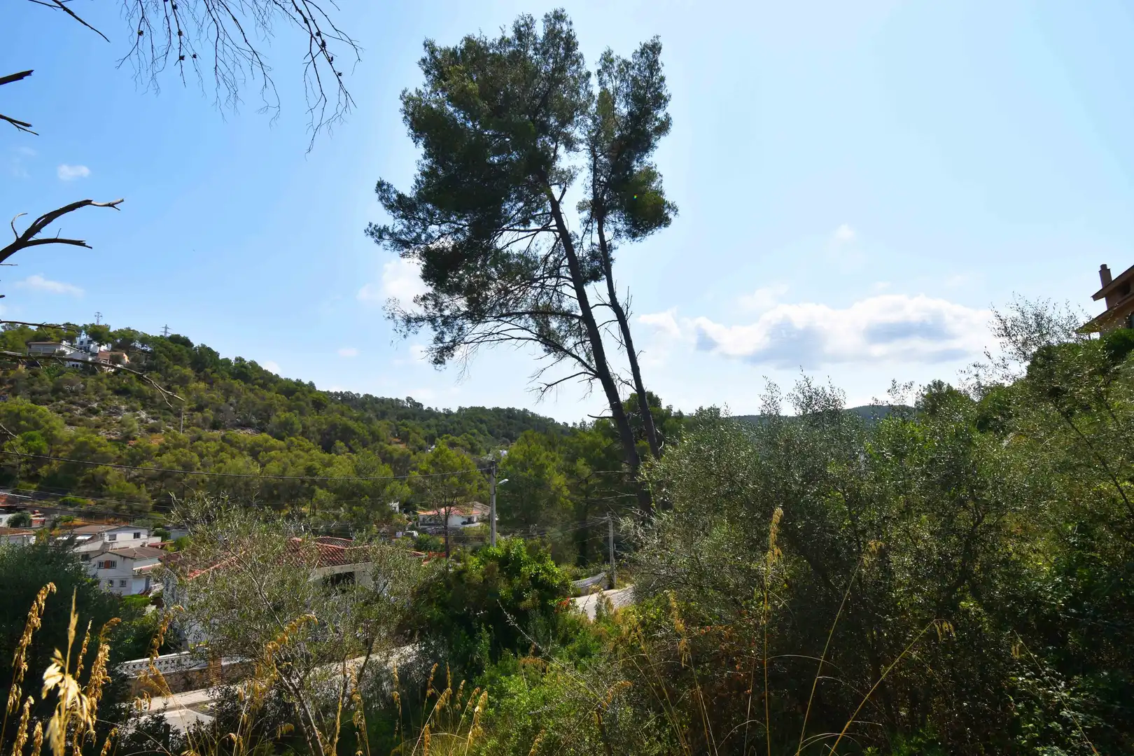 Terrain rustique à vendre à Calle Os Blanc, imagen 5