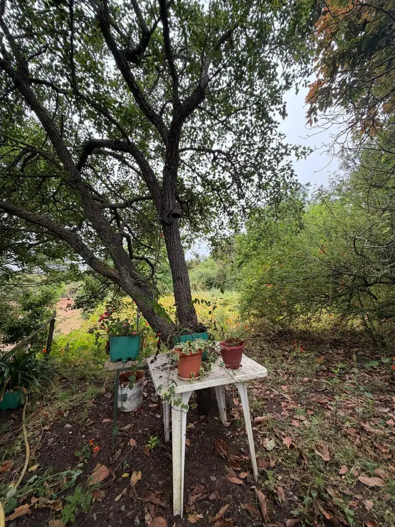 Terreno rustico in vendita a El Bebedero - Pinolere - Aguamansa, imagen 48