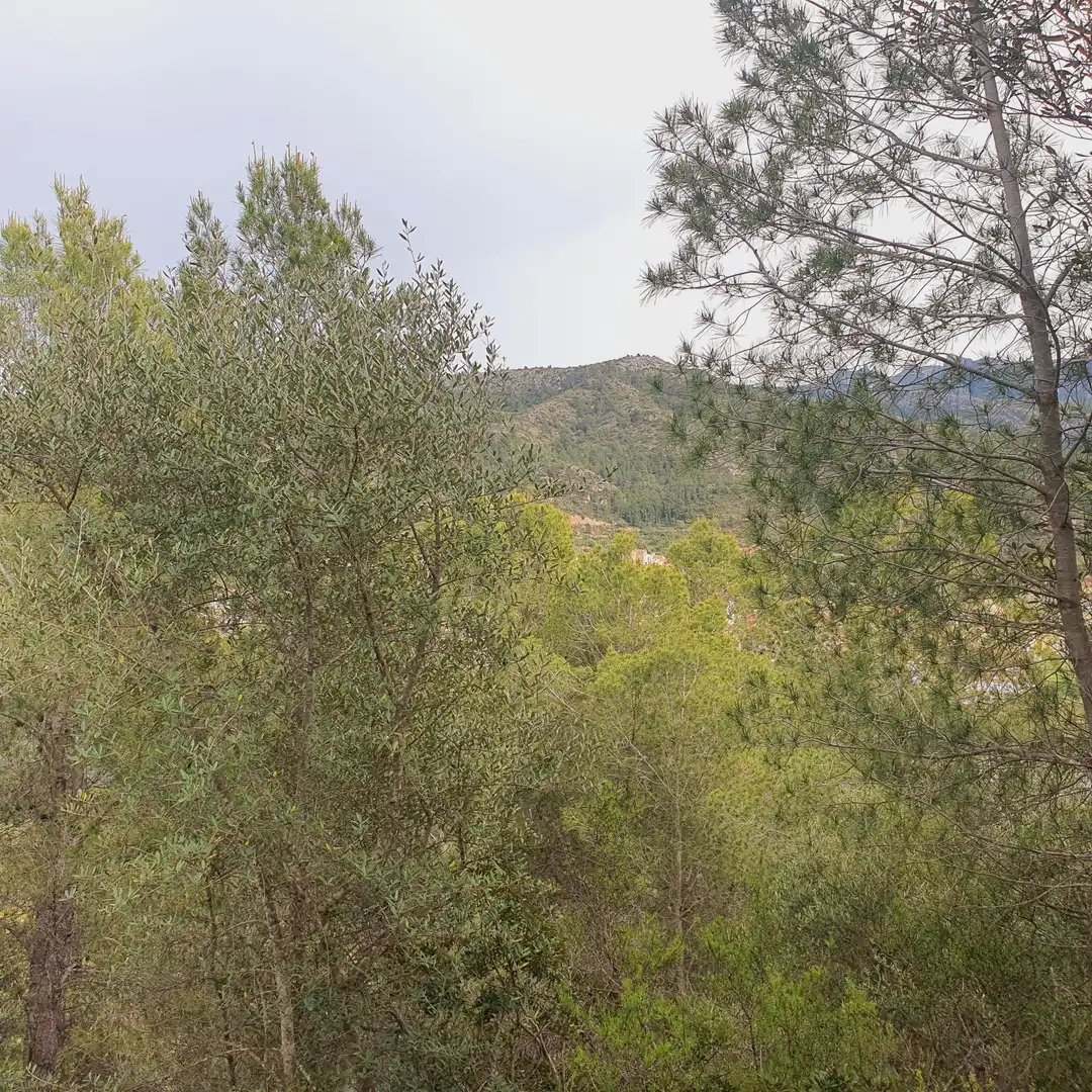 Terrain rustique à vendre à Benifallet, imagen 36