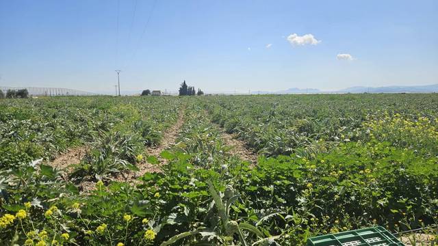 Terreno en Venta en Polígono de los Cipreses en Valladolises y Lo Jurado