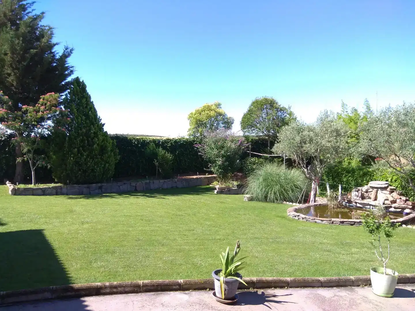 Jardí de Casa o xalet en venda en San Cebrián de Castro amb Jardí privat, Traster i Moblat