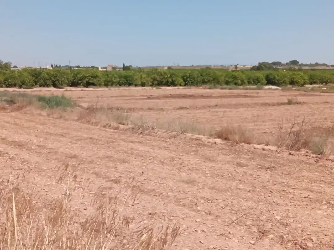 Rural land for sale in Partida Torrejón de San Bruno 52