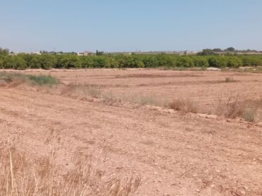 Terreny rústic en venda a Partida Torrejón de San Bruno 52
