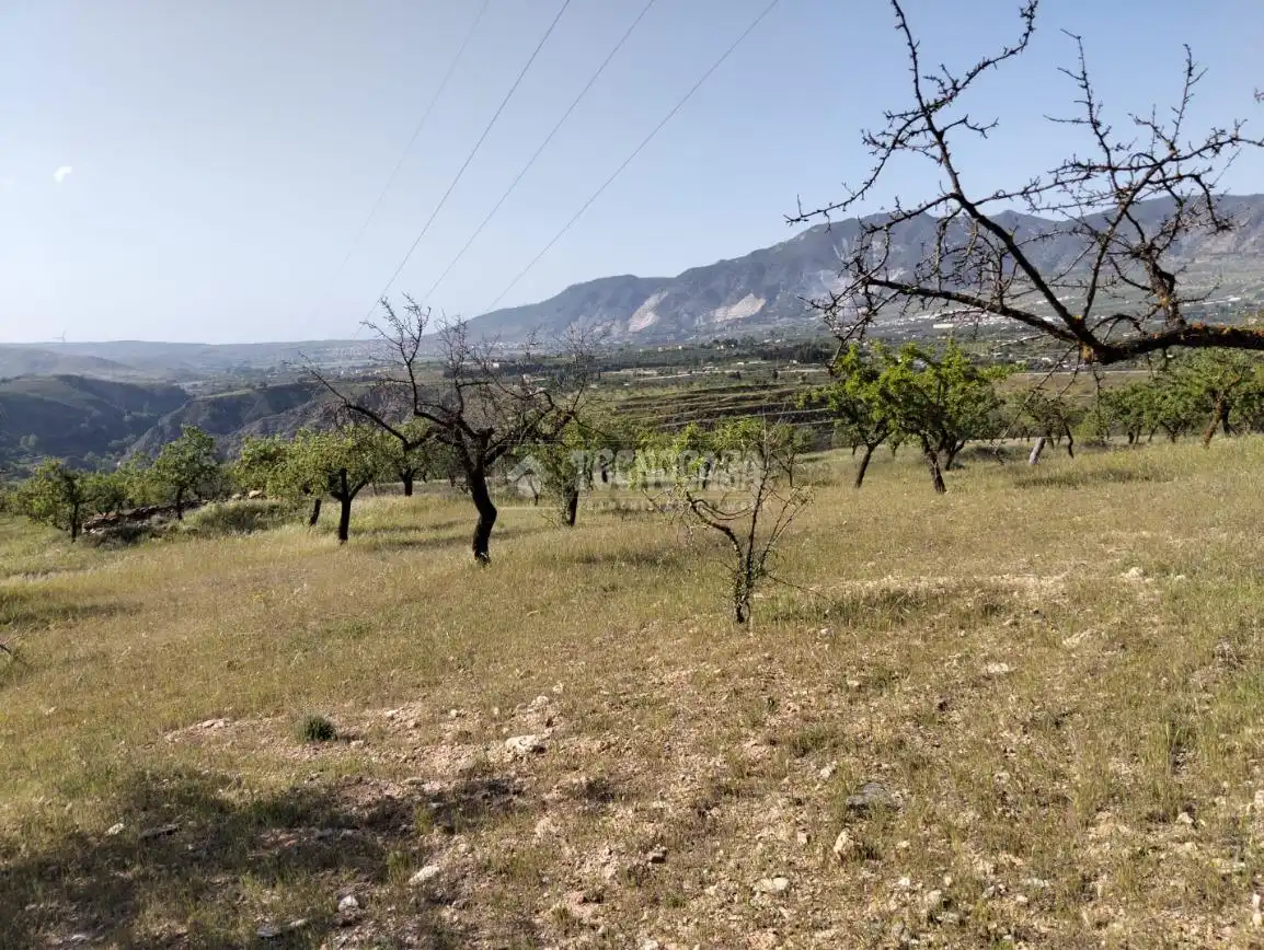 Rural land for sale in Dúrcal, imagen 8