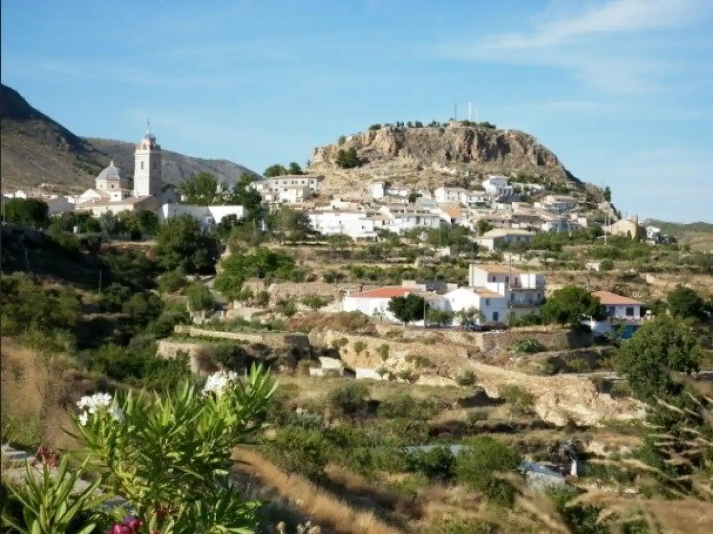 Lands and plots for sale in Oria, imagen 3