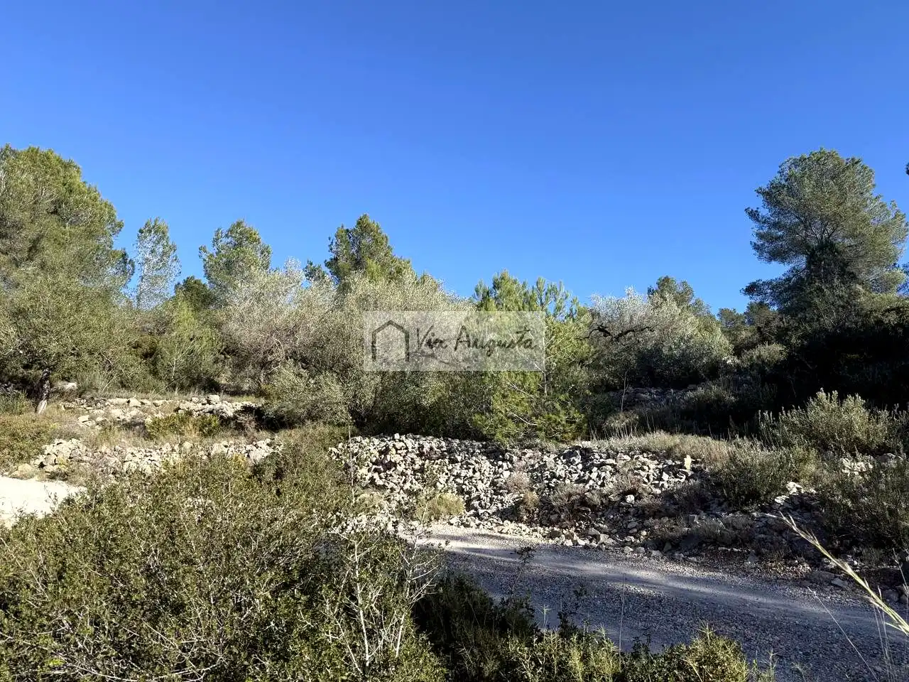 Terreno rustico in vendita a Bassa d'en Baró, imagen 4