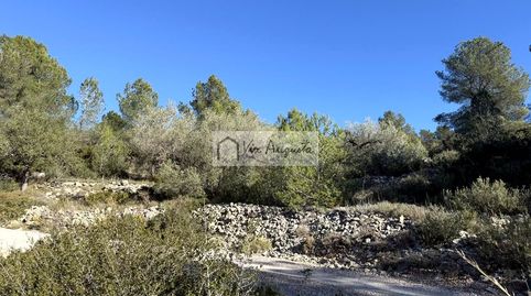 Foto 4 de Terreno en venta en Bassa D'en Baró, El Perelló, Tarragona