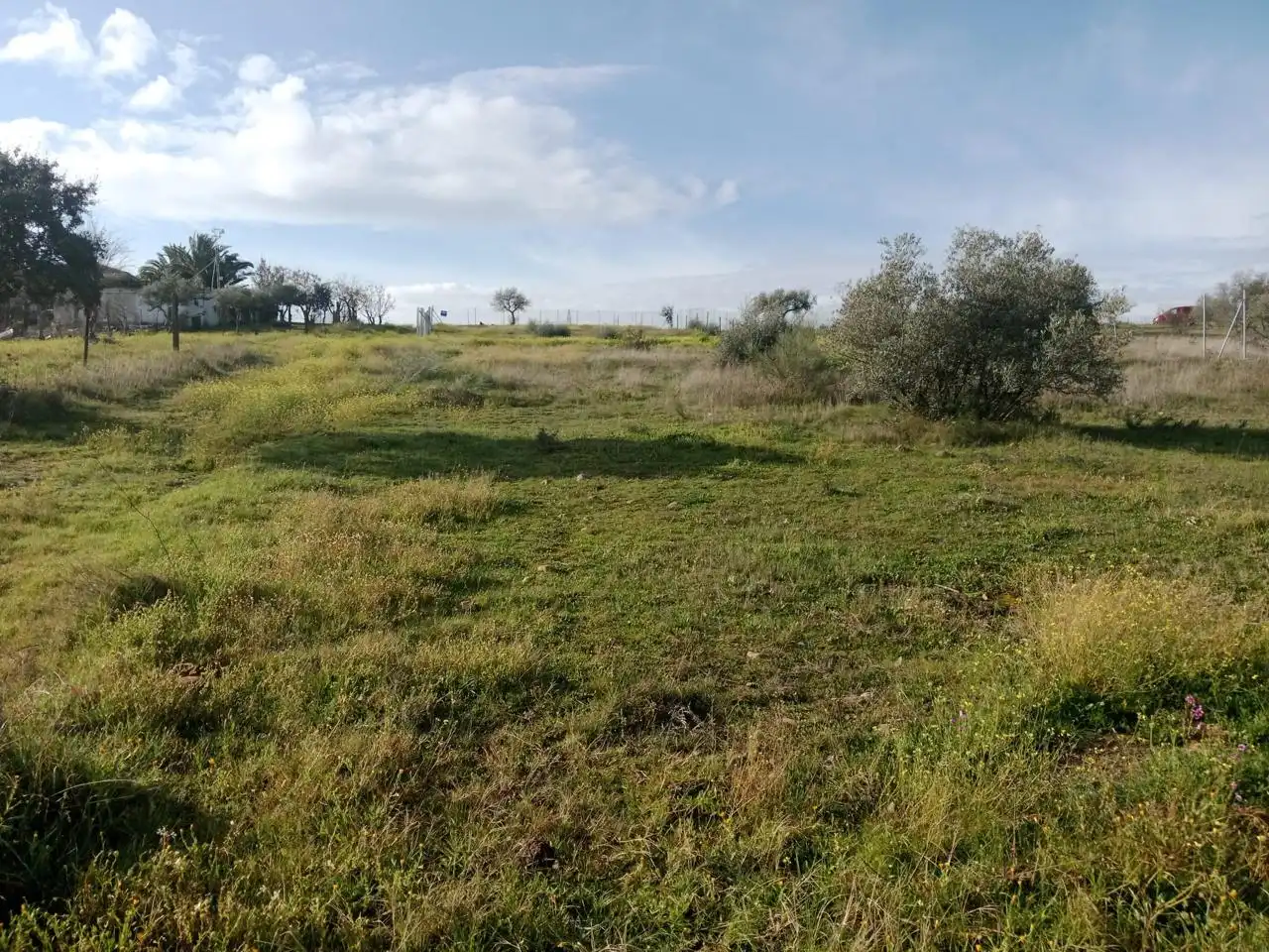 Terreni e lotti in vendita a Oeste, imagen 2