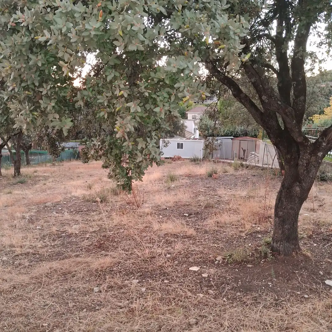 Residencial en venta en Villa del Prado, Madrid