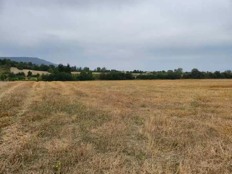 Terreny rústic en venda a San Millán / Donemiliaga, imagen 3
