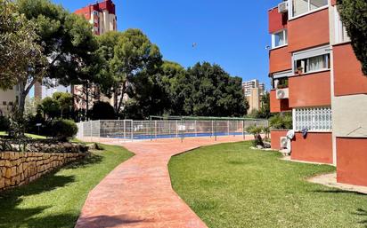 Piscina de Pis en venda en Benidorm amb Piscina comunitària