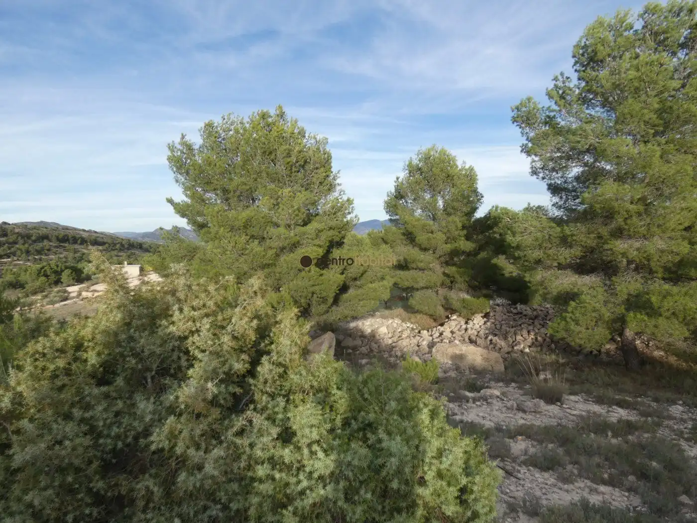 Residential land for sale in Monóvar  / Monòver, imagen 11