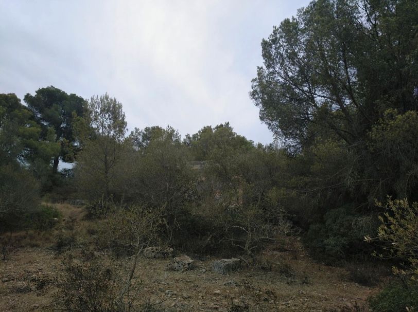 Residencial en venda en Llucmajor