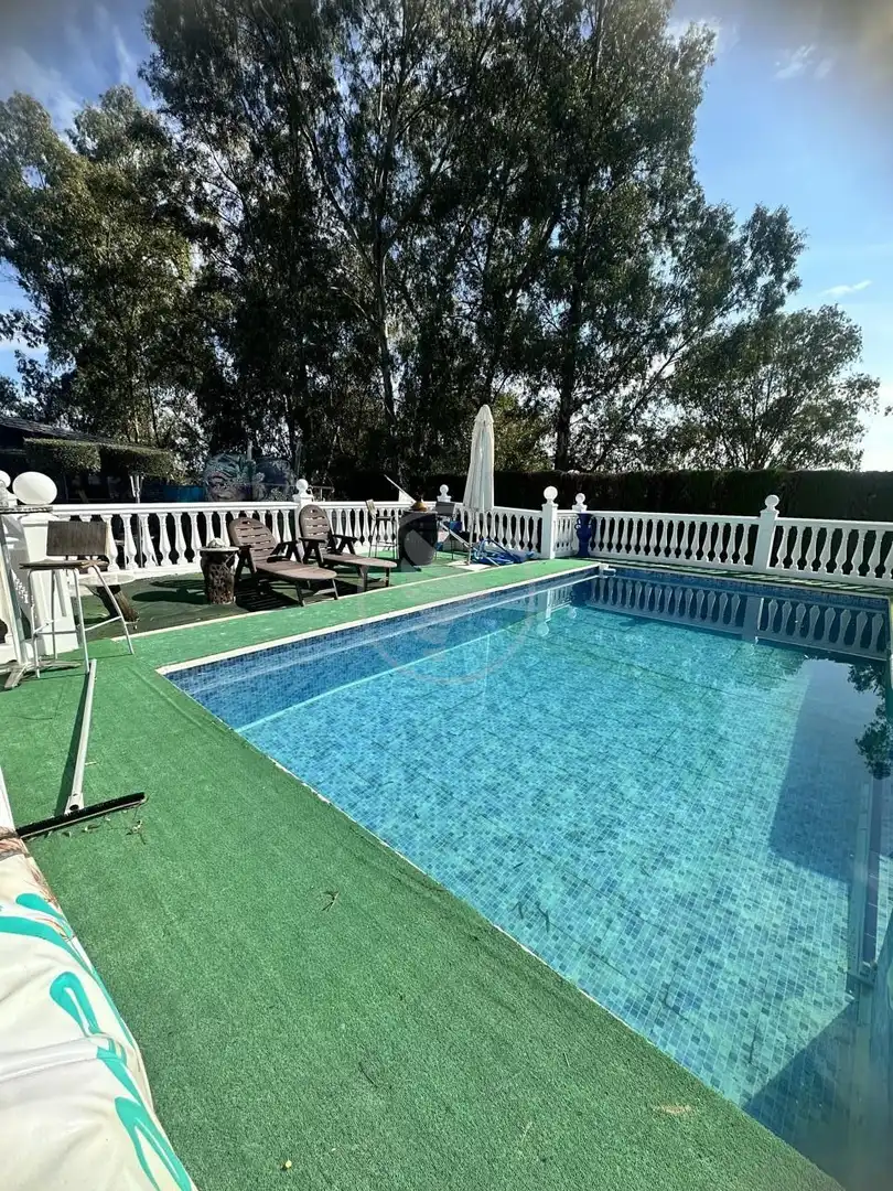 Piscina de Finca rústica en venda en Linares amb Jardí privat, Terrassa i Piscina
