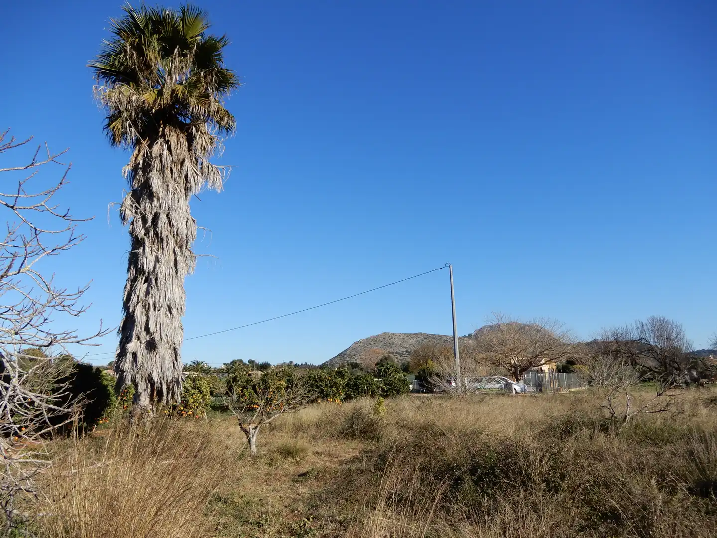 Terreny rústic en venda a La Xara - La Sella, imagen 3