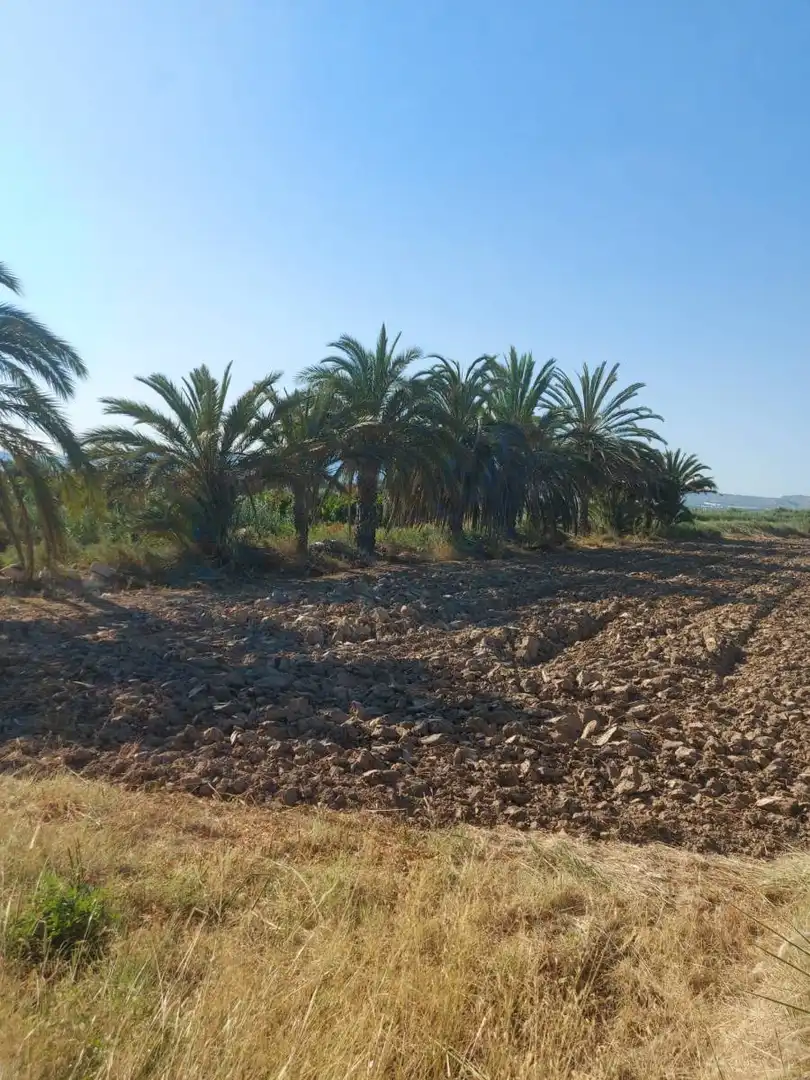 Residencial en venta en Catral