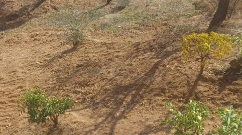 Foto 3 de Finca rústica en venta en Calle Carril, Almogía, Málaga