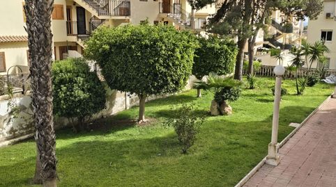 Photo 5 of Apartments for sale in Aguas Nuevas, Torrevieja
