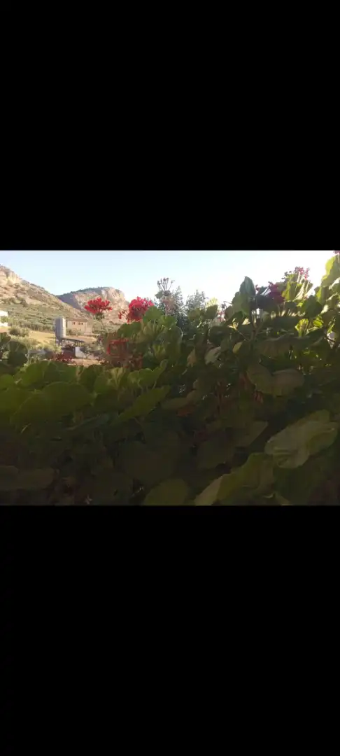 Jardín de Casa o chalet en venta en Cuevas del Becerro con Amueblado