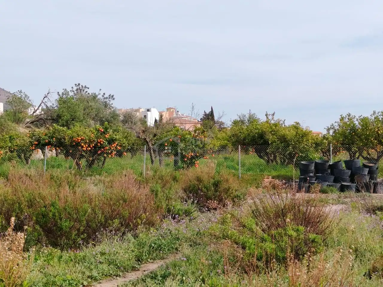 Terreno rustico in vendita a Nacional Cv-758 Finestrat, imagen 2