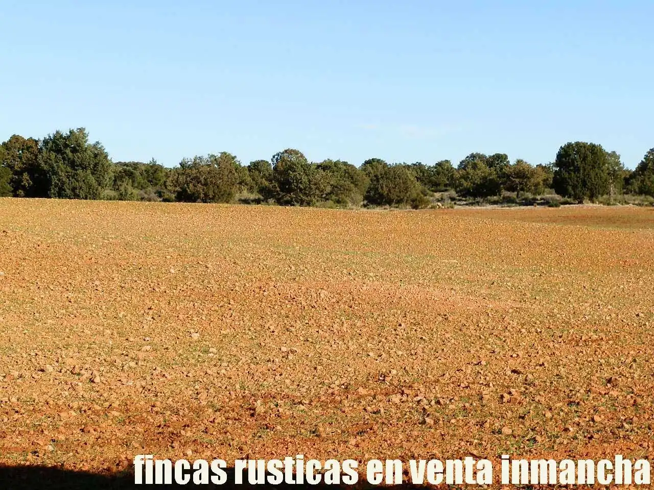 Lands and plots for sale in Ossa de Montiel, imagen 4