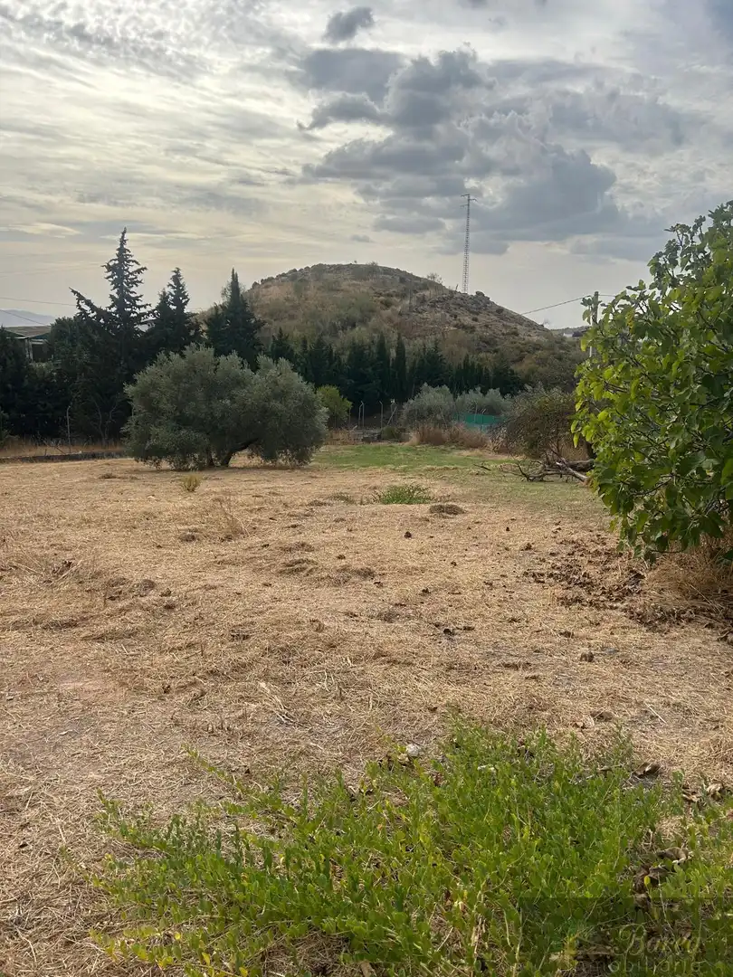 Xalet amb piscina en venda a Rute, imagen 26