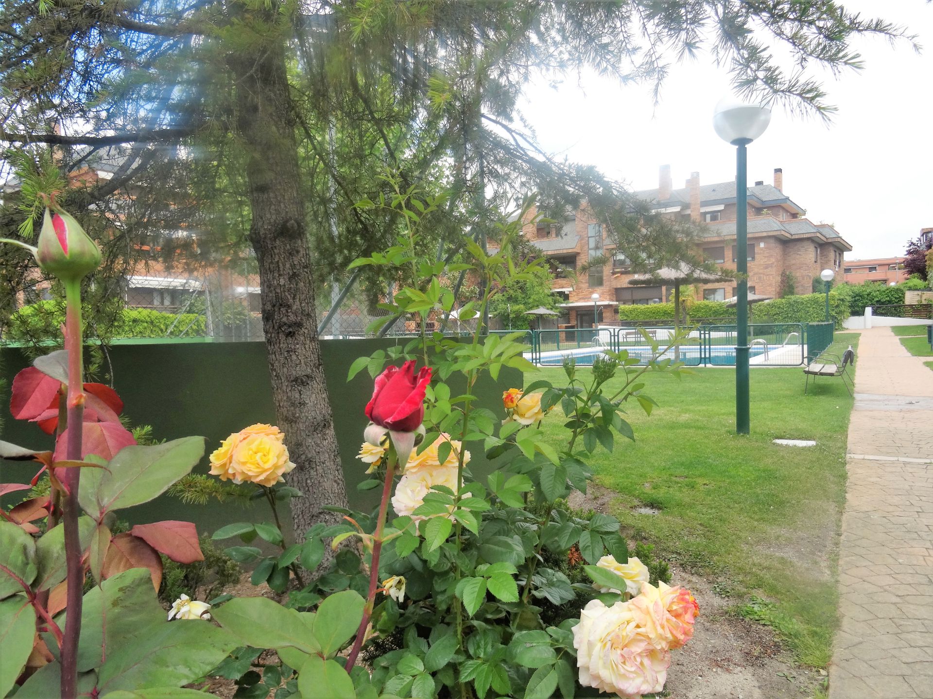 Jardín de Ático de alquiler en Las Rozas de Madrid con Aire acondicionado, Calefacción y Terraza