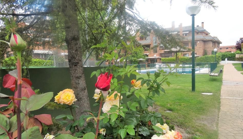 Foto 1 de Ático de alquiler en Calle Islas Pitiusas, 20, El Pinar - Punta Galea, Madrid