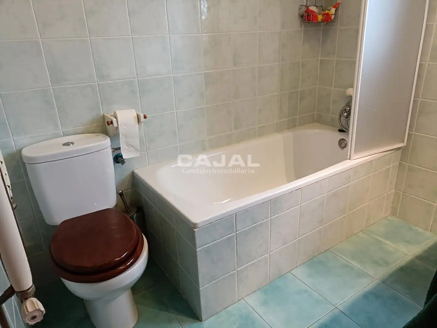 Baño de Casa o chalet en venta en Castillejo de Mesleón con Calefacción