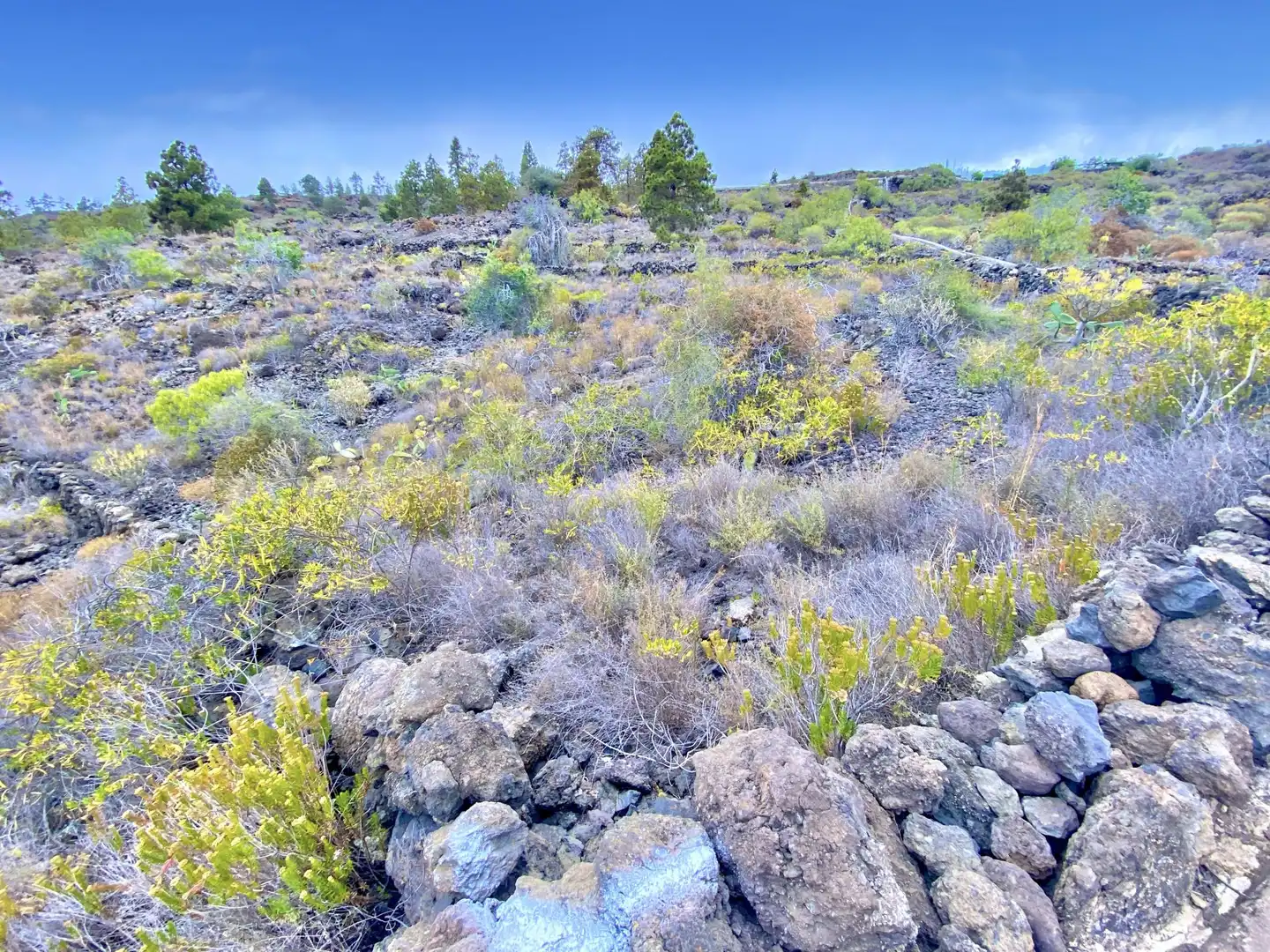 Lands and plots for sale in Chío, imagen 7