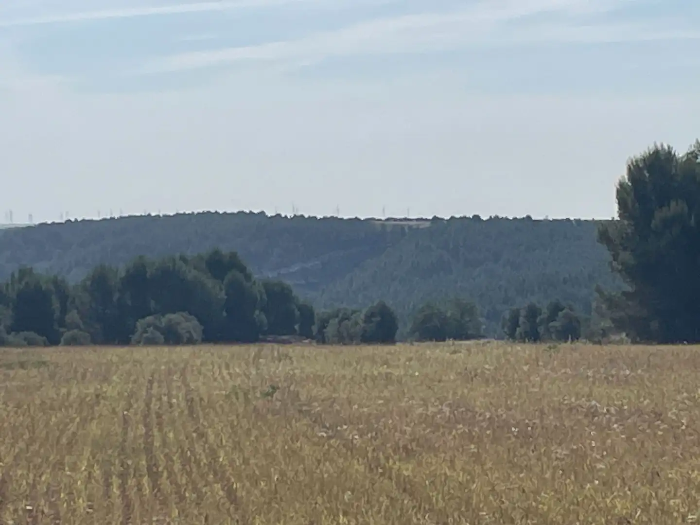 Terreno rustico in vendita a Ontígola, imagen 5