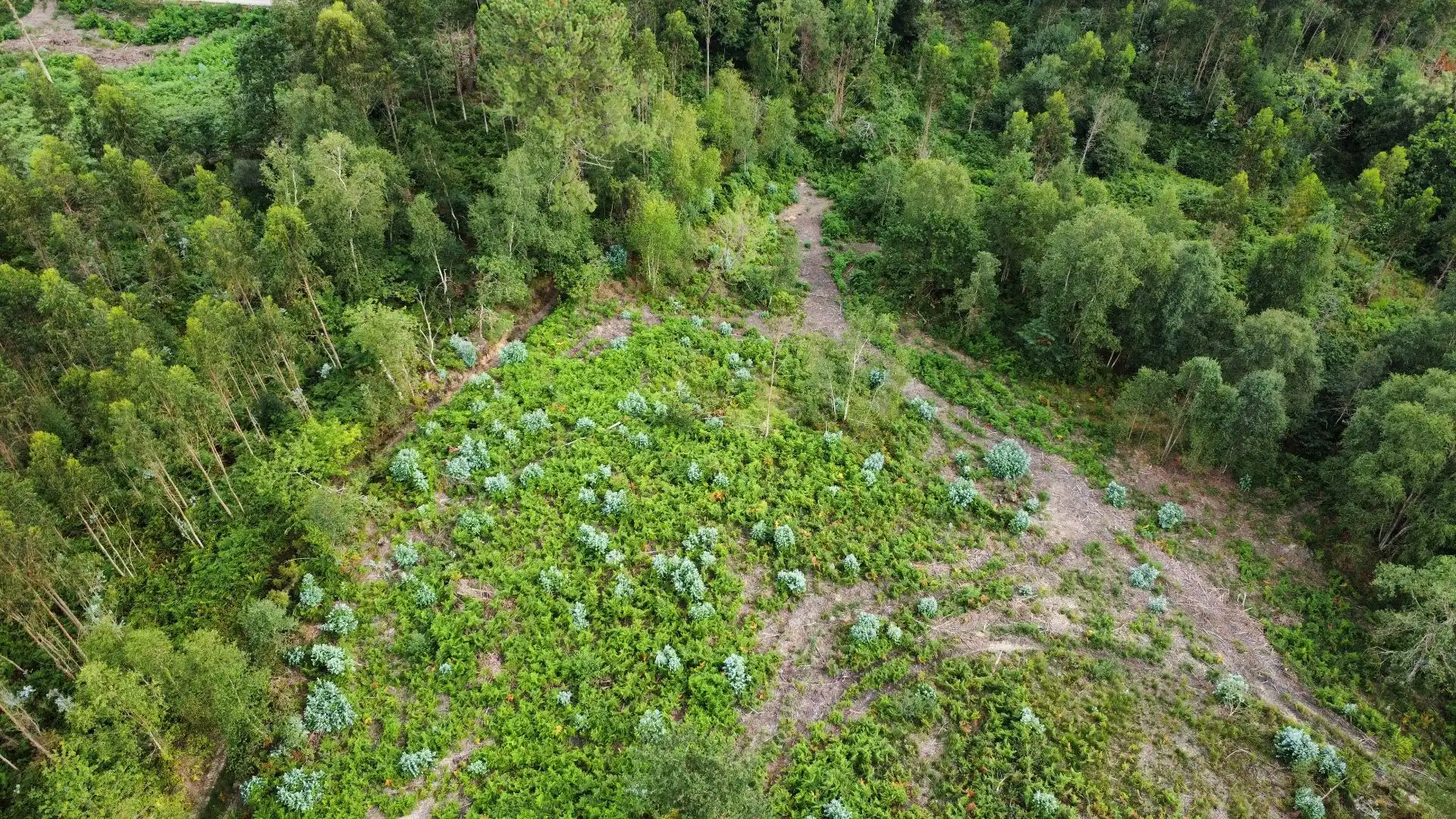 Terreno rustico in vendita a Pría - Nueva-Hontoria - Naves, imagen 12